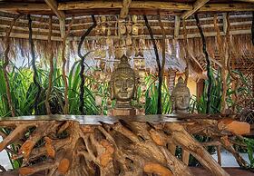 Sensations Eco-Chic Hotel