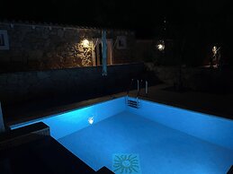 Vi Ja Villa Janas