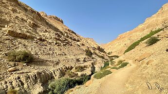 Roxon Desert Arad