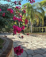 Hacienda Girasoles Tampico