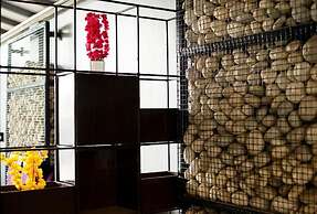 The Porto by Lagom