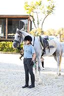 Mavi At Hotel
