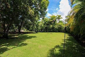 Palm Grove by Bluescape