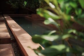 Punta Navi