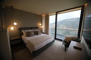 Quinta Vale de Lobos Douro