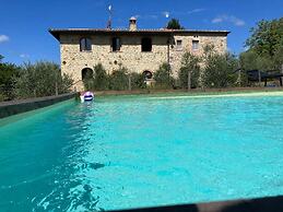 Alice - Podere Ribatti Casole d'Elsa