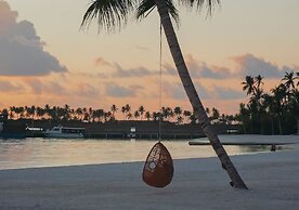 Joy Island