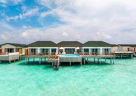 Joy Island