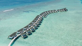 Joy Island