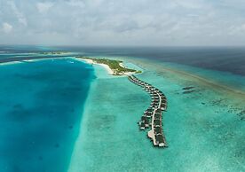 Joy Island