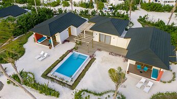 Joy Island