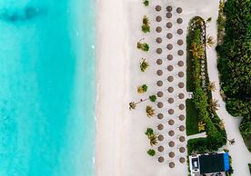 Joy Island