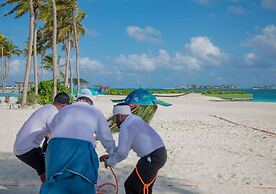 Joy Island
