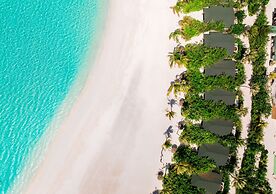 Joy Island