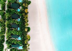 Joy Island