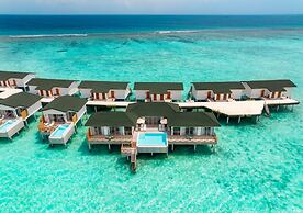 Joy Island