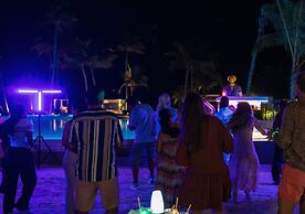 Joy Island