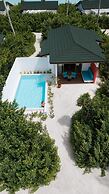 Joy Island