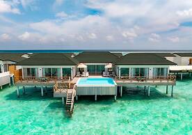 Joy Island