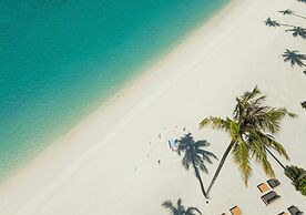 Joy Island