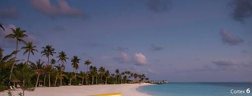 Joy Island