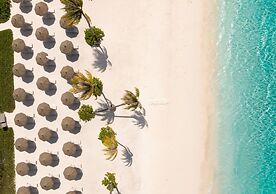 Joy Island