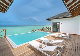 Joy Island