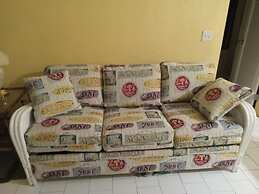 Bananaquit House