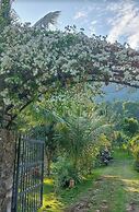 Freedom Jungle Resort