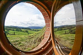 Foxes View