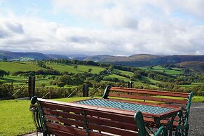 Foxes View