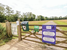 7 Wild Haven