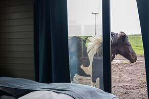 Sleeping with the Horses