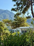 Z-Villas