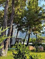 Z-Villas