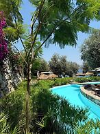 Z-Villas