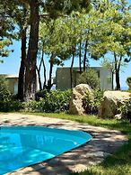 Z-Villas