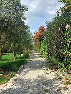 Riviera Bungalow Evleri Demre