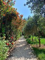 Riviera Bungalow Evleri Demre