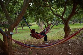 NUYU Khaoyai