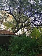 Charming Apartment Center Split Terrace & Parking