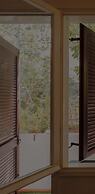 White Blossom 1BR Apt Near Dizengoff CTR