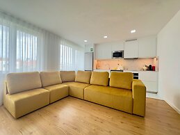 Vibrant Host-Campo 24