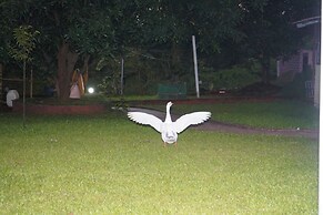 THE AVI'S VILLAGE AGROTOURISM