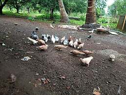 THE AVI'S VILLAGE AGROTOURISM