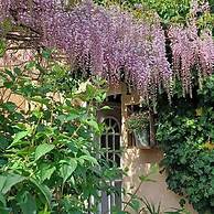 Bastide Cedrea