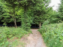 Forestside View