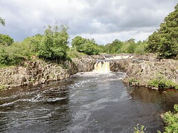 Forestside View