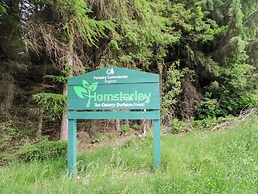 Forestside View