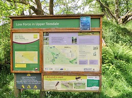 Forestside View